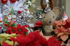 メリークリスマス♪