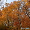 戸隠の紅葉