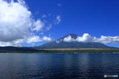 夏の富士五湖　➉　山中湖と富士山