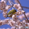 桃色の花の中で・・・♪