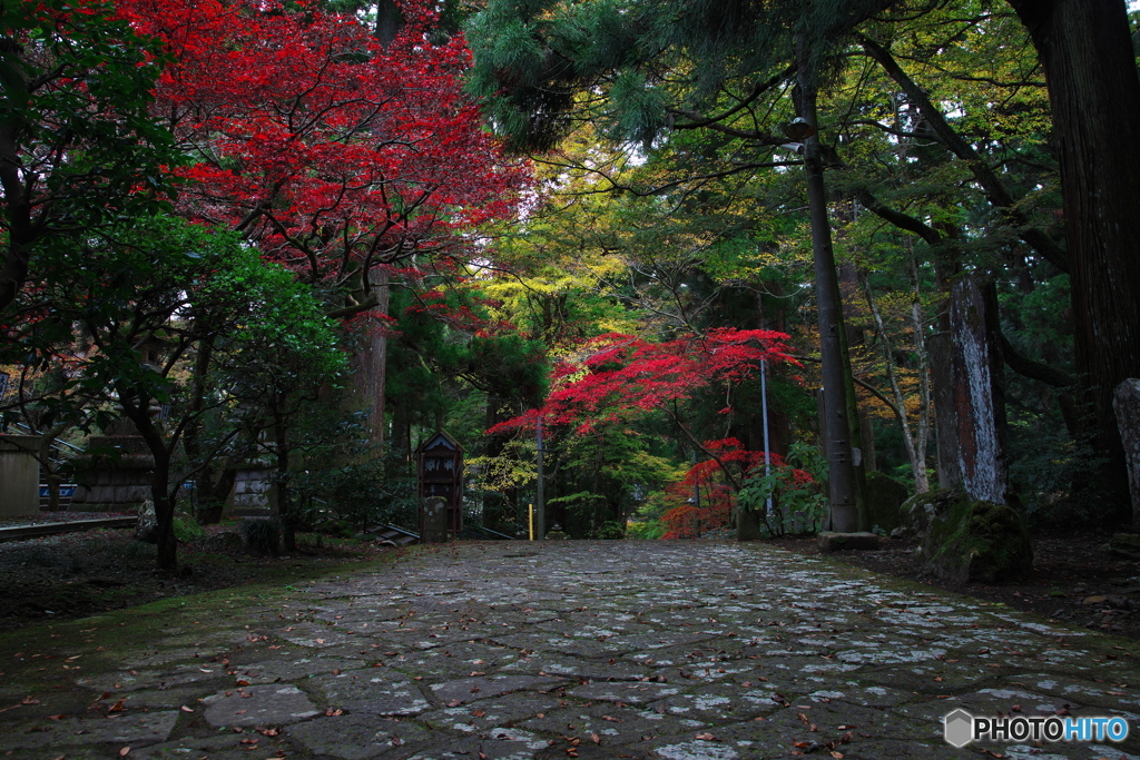 古刹の紅葉