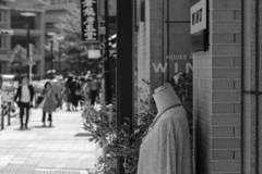 像はこのようにして現実と結びついている