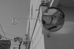 セルフポートレート