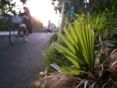R0012626