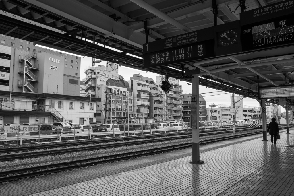 臆病で遠慮がちで不器用な物腰