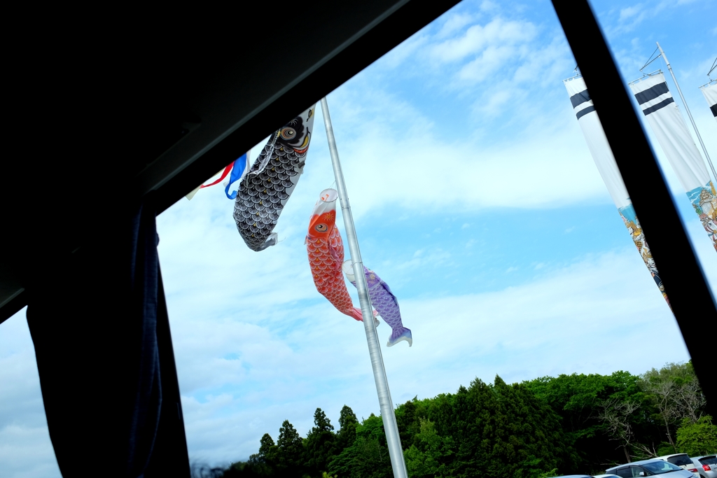 鯉のぼり