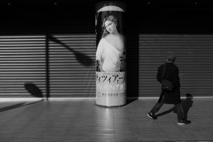 ティツィアーノとヴェネツィア派展