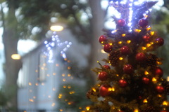 DSCF1144