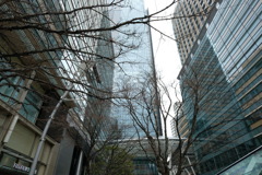 DSCF0981自然法則の必然性