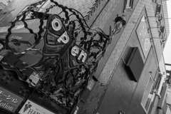 ぶるっと身震いした植物のファサード