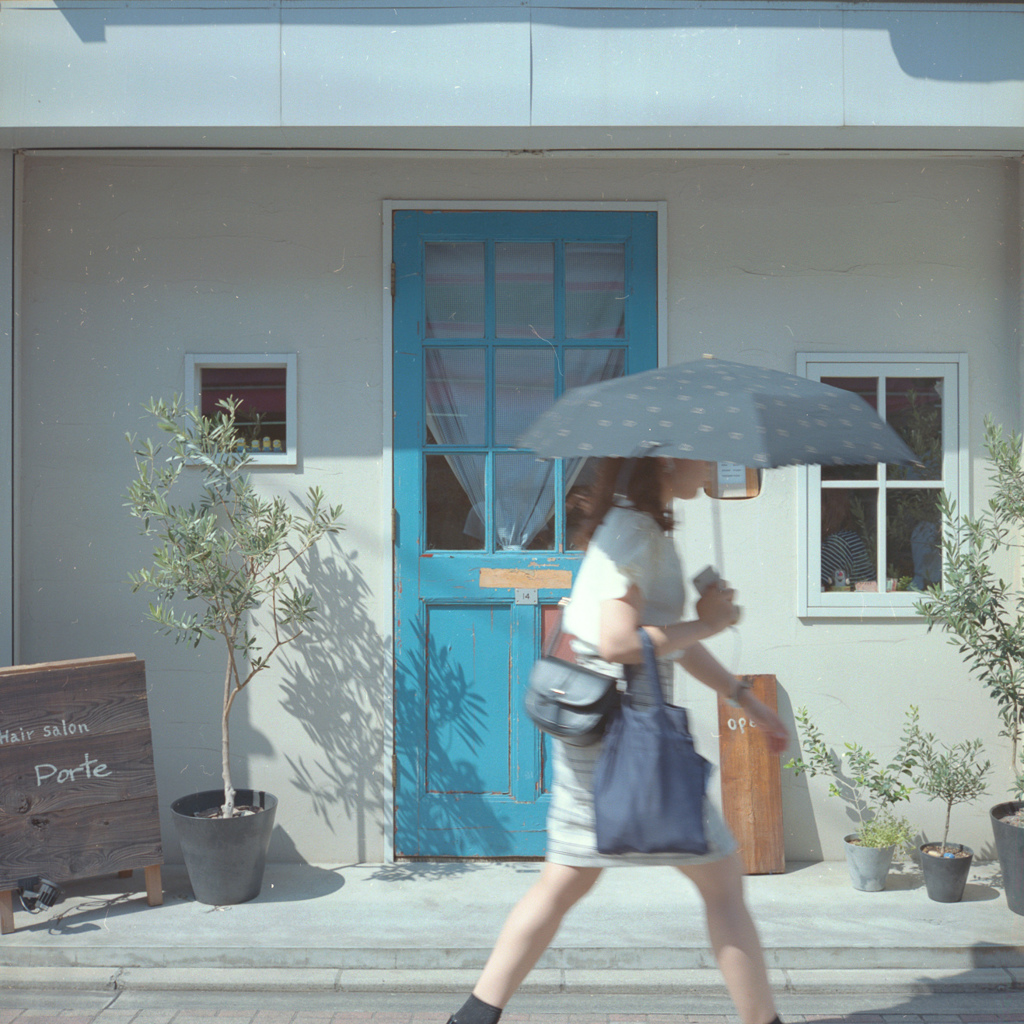 ひとりの若い婦人が、もの思わしげな顔にしゃれたベールをつけている