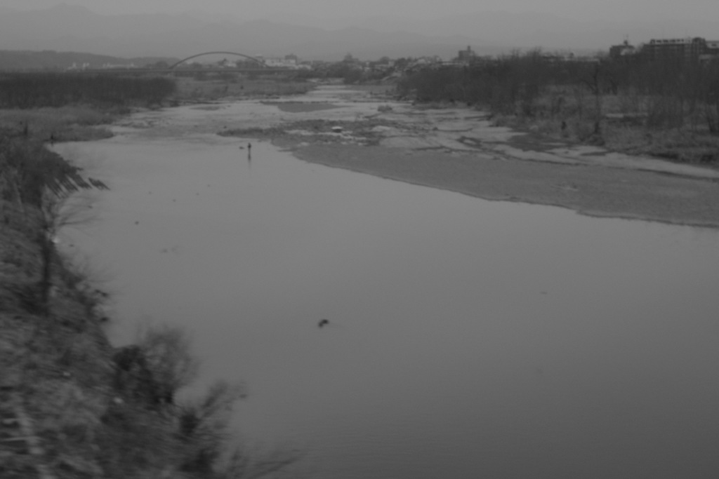 この世のものとも思えぬ光を受けて蒼白く緑に映える巨大な水槽