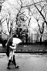 花見ればそのいはれとはなけれども心の内ぞ苦しかりける　西行