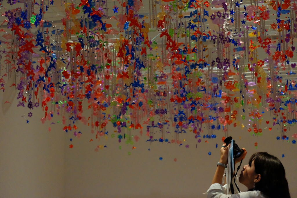 サンシャワー：東南アジアの現代美術展