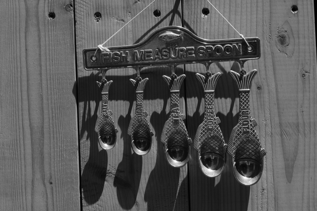 論理学の命題はすべてが同じ身分である