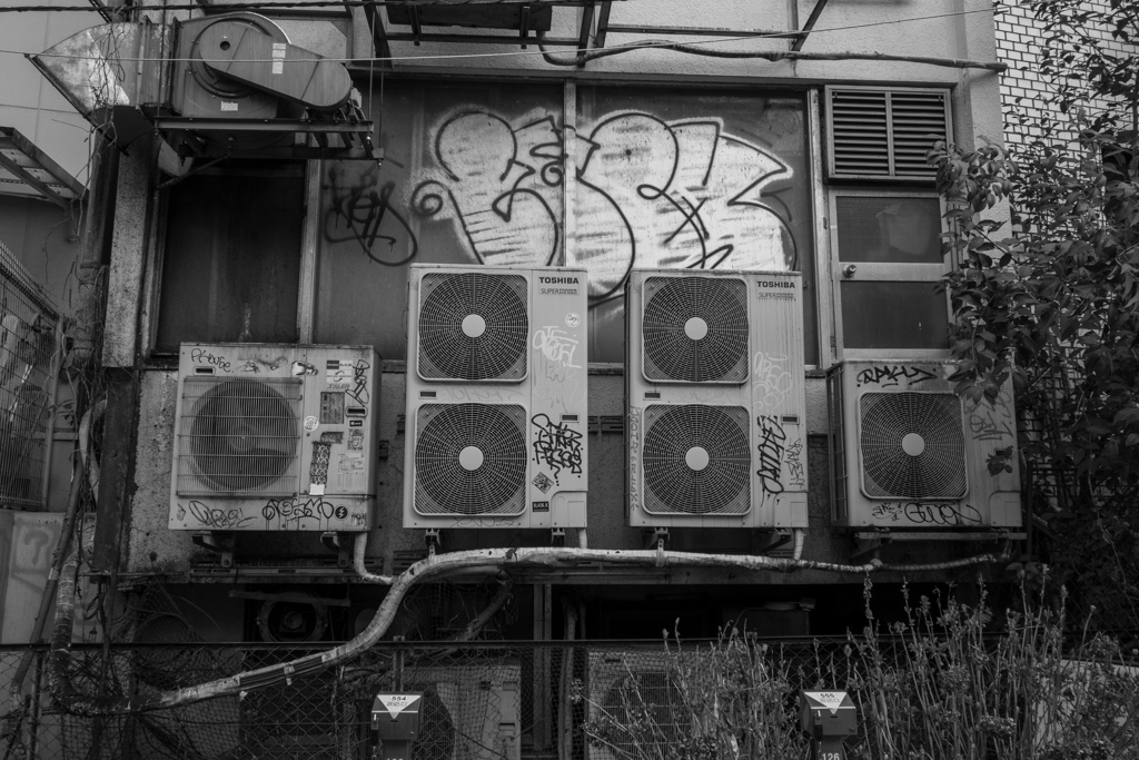 事物の慣習的外観