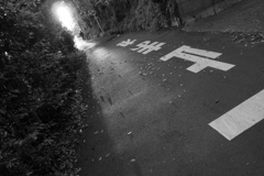 純粋に物質的な道