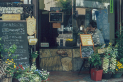 緑あふれる小草原