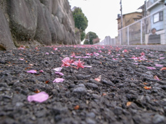 R0012385