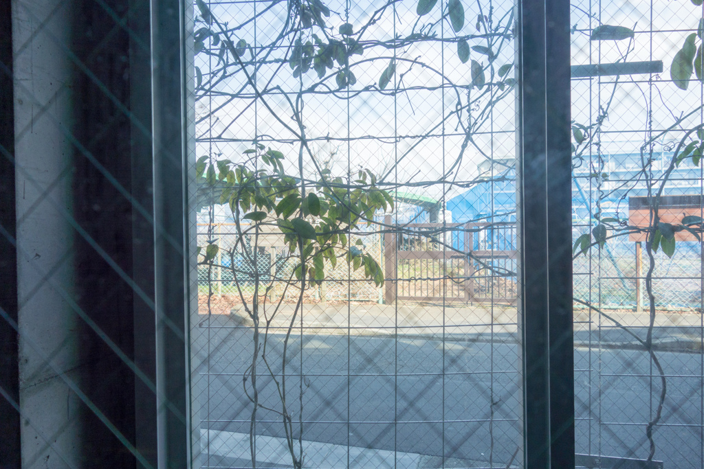 アトリエの奥の窓辺に来ていた