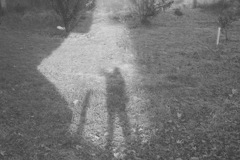 img154のコピー6