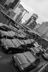 朝早くから馬車の用意をさせた