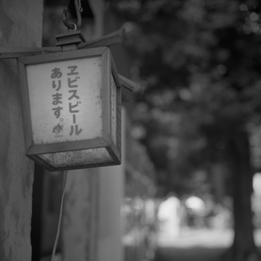見かけはなんの変哲もないその形容詞に一切が込められている
