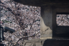 愛情あふれる心底からの心地よさ