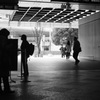 DSCF0719天井