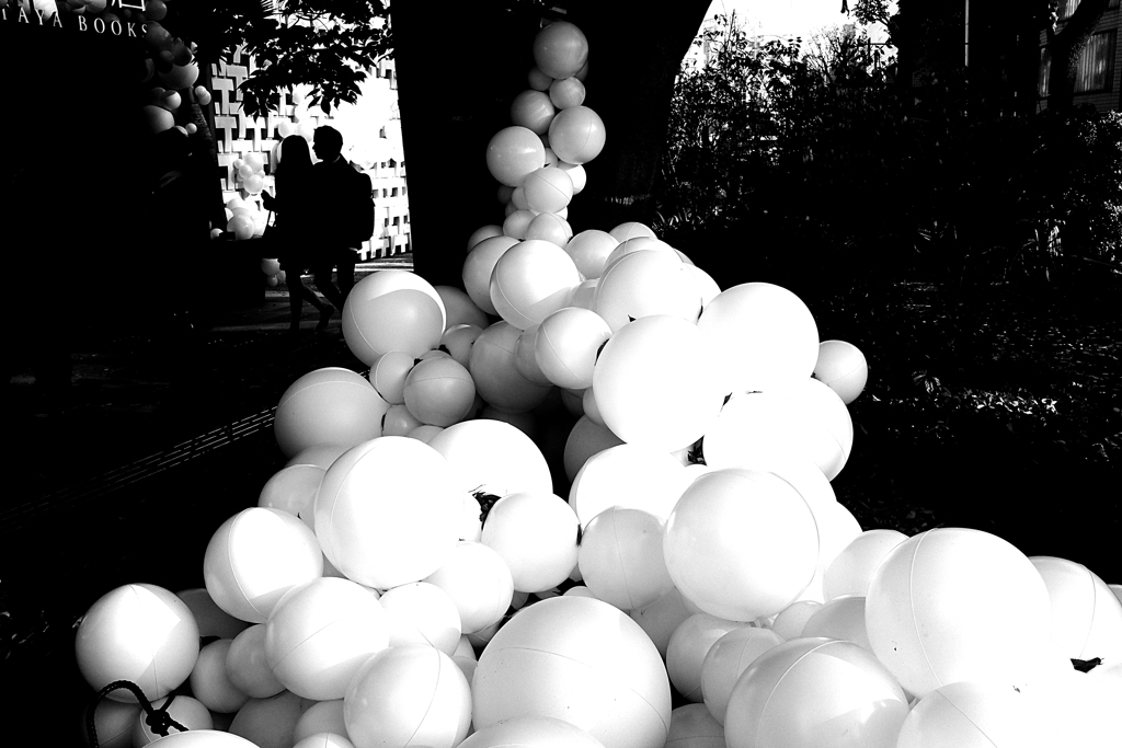 代官山蔦屋書店