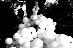 代官山蔦屋書店