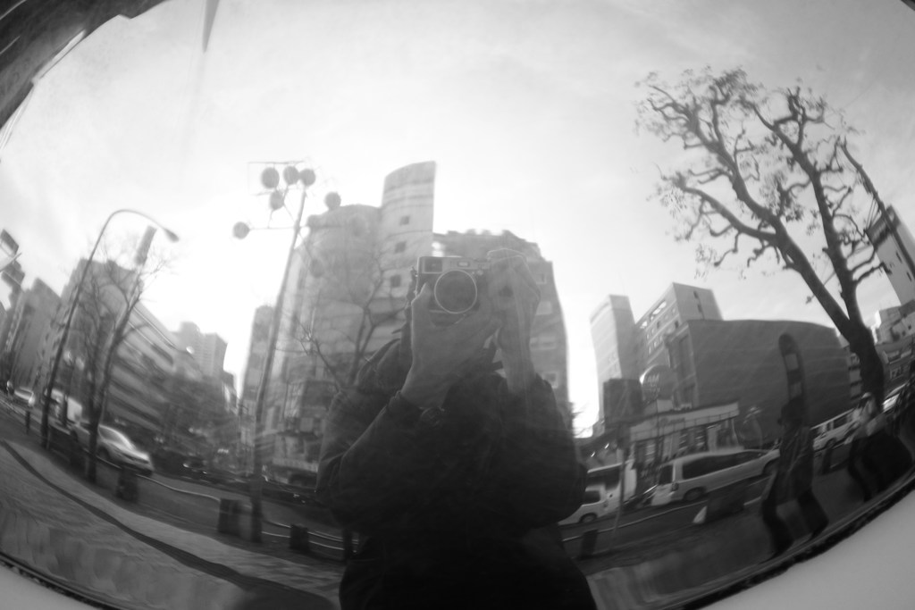 セルフポートレート