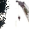 DSCF0447画家の技巧