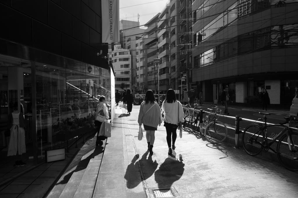 夢の総体を自分のものにすること