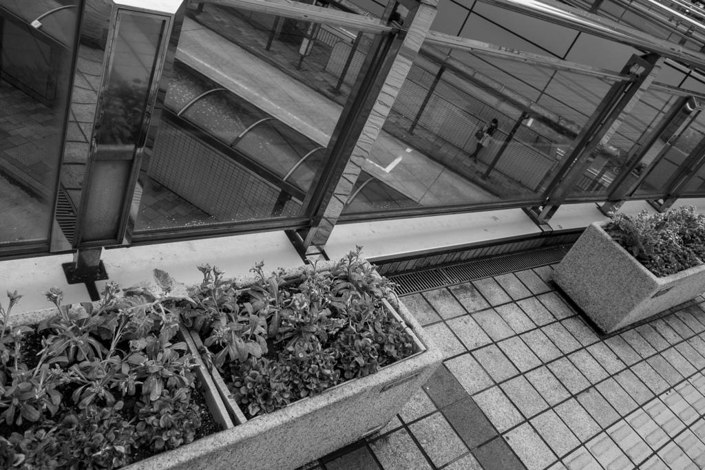 小さな楽器の独特な音