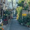 夢に出てきた娘のことはもう忘れている