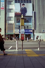 はとバスのりば