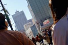 華麗で場違いなほどに贅沢な太陽のすがた