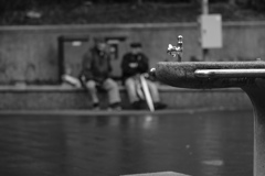 慣れ親しんだあの憐憫の心地よい感覚
