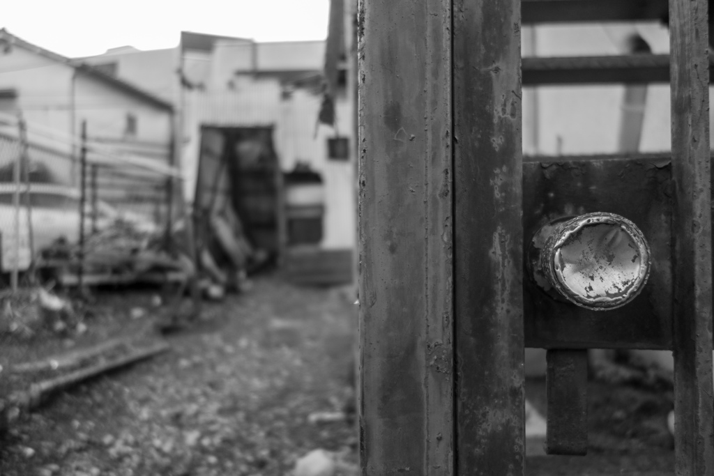 どれほど辺鄙な片田舎にも善意がおのずと花開くのを目の当たりにして人は驚嘆する