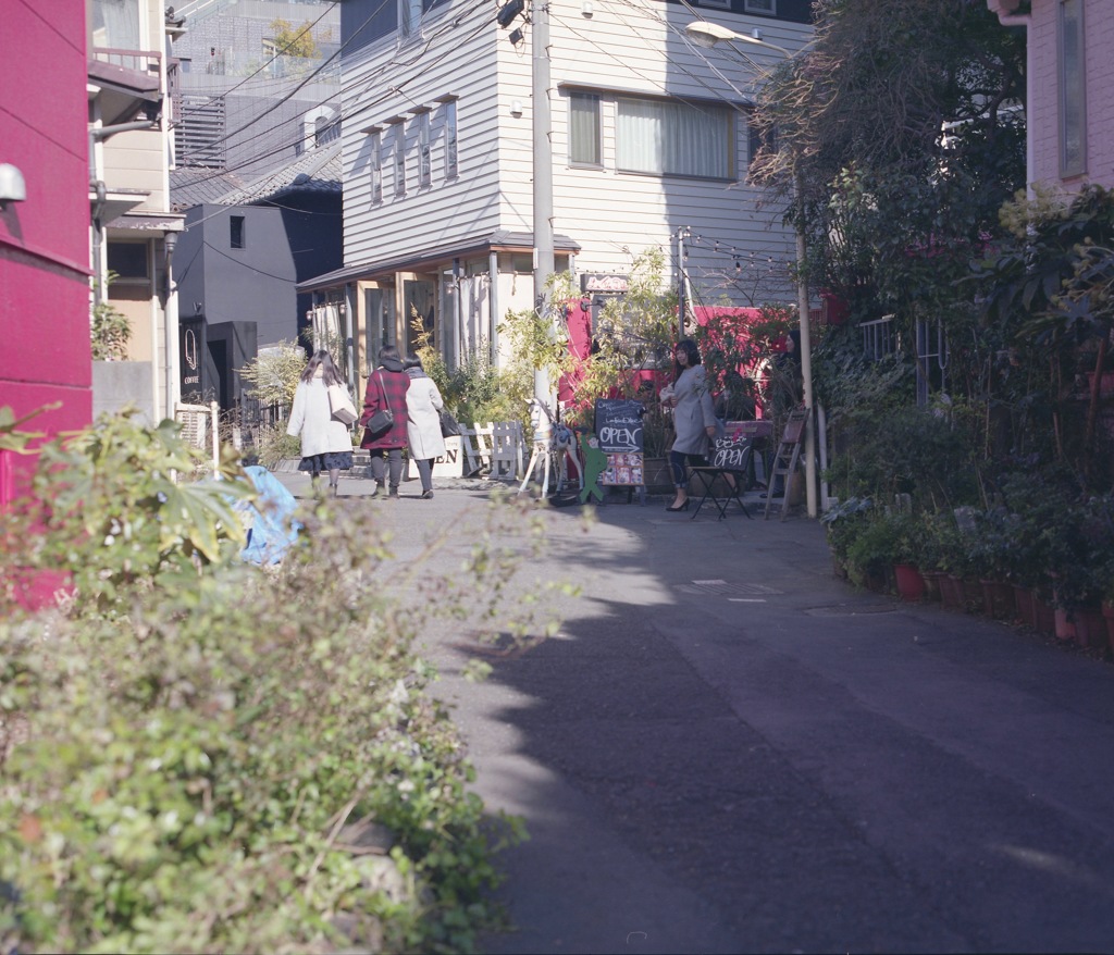 img229のコピー2