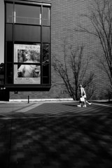 ティツィアーノとヴェネツィア派展