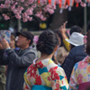 盛大な儀式と歓び
