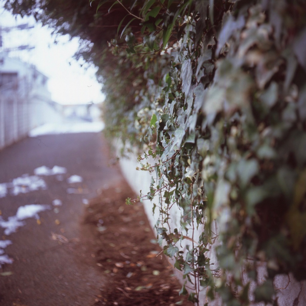 img199のコピー3