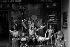 HOLLYWOOD RANCH MARKET