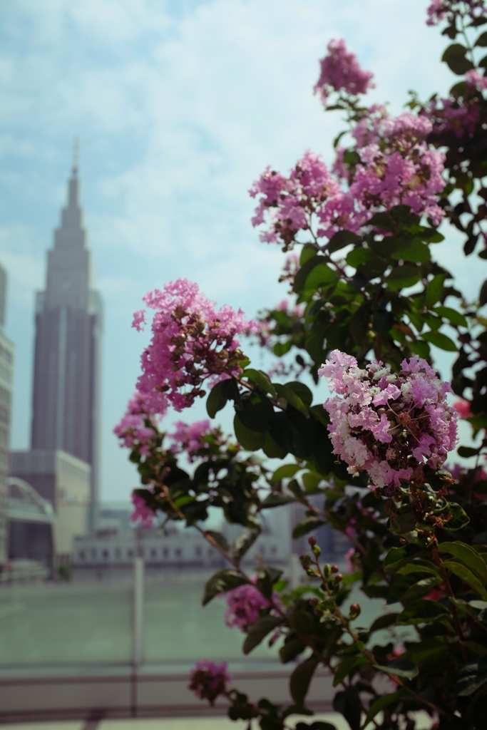 NTTドコモ代々木ビル