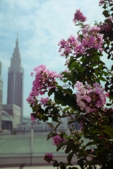 NTTドコモ代々木ビル