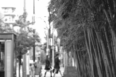 DSCF0433ブーローニュの森