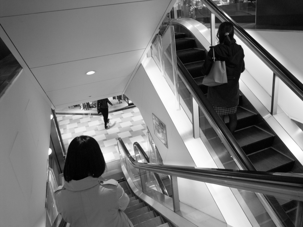 真実の開示