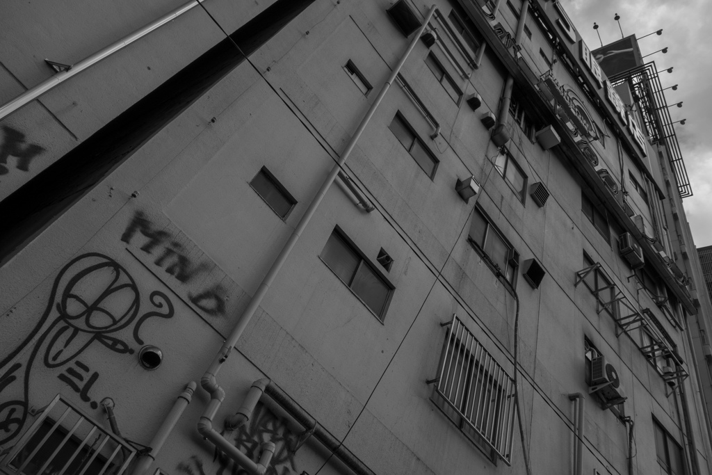 昔の寓意画に描かれた多数の惑星を見る想いがする